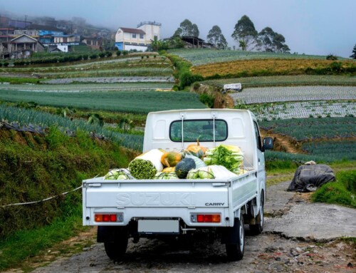 Kepercayaan Pasar Dukung Program MBG: New Carry Perkuat Peran sebagai Kendaraan Distribusi Andalan