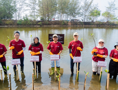 CSR Suzuki, Pandu Laut, Dan Susi Air Lanjutkan Sabuk Hijau Pesisir
